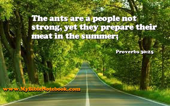 Proverbs 30:25 The ants are a people not strong, yet they prepare their meat in the summer; Create your own Bible Verse Cards at MyBibleNotebook.com